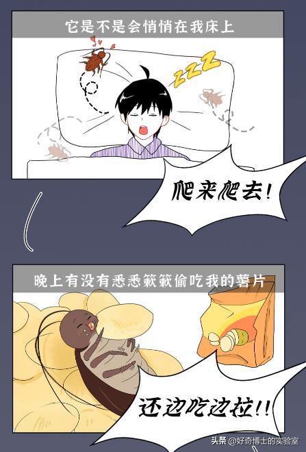 家里踩死的蟑螂，为啥一会儿就自动消失了？