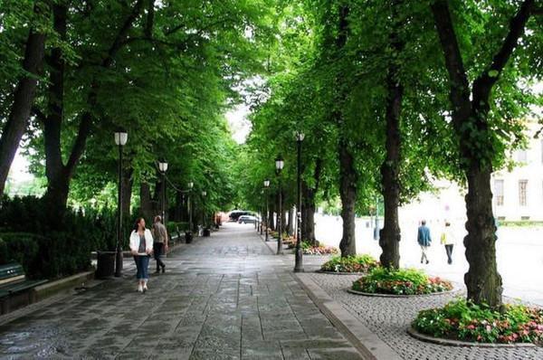 挪威为什么很多华人,挪威为什么美女少