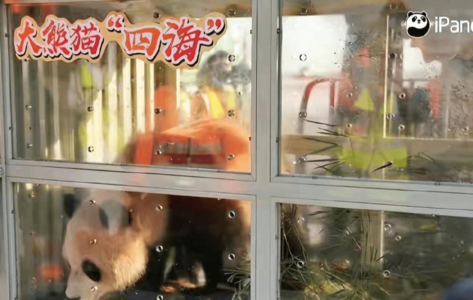 卡塔尔世界杯投入2000亿谁赚了,卡塔尔为世界杯花费多少钱