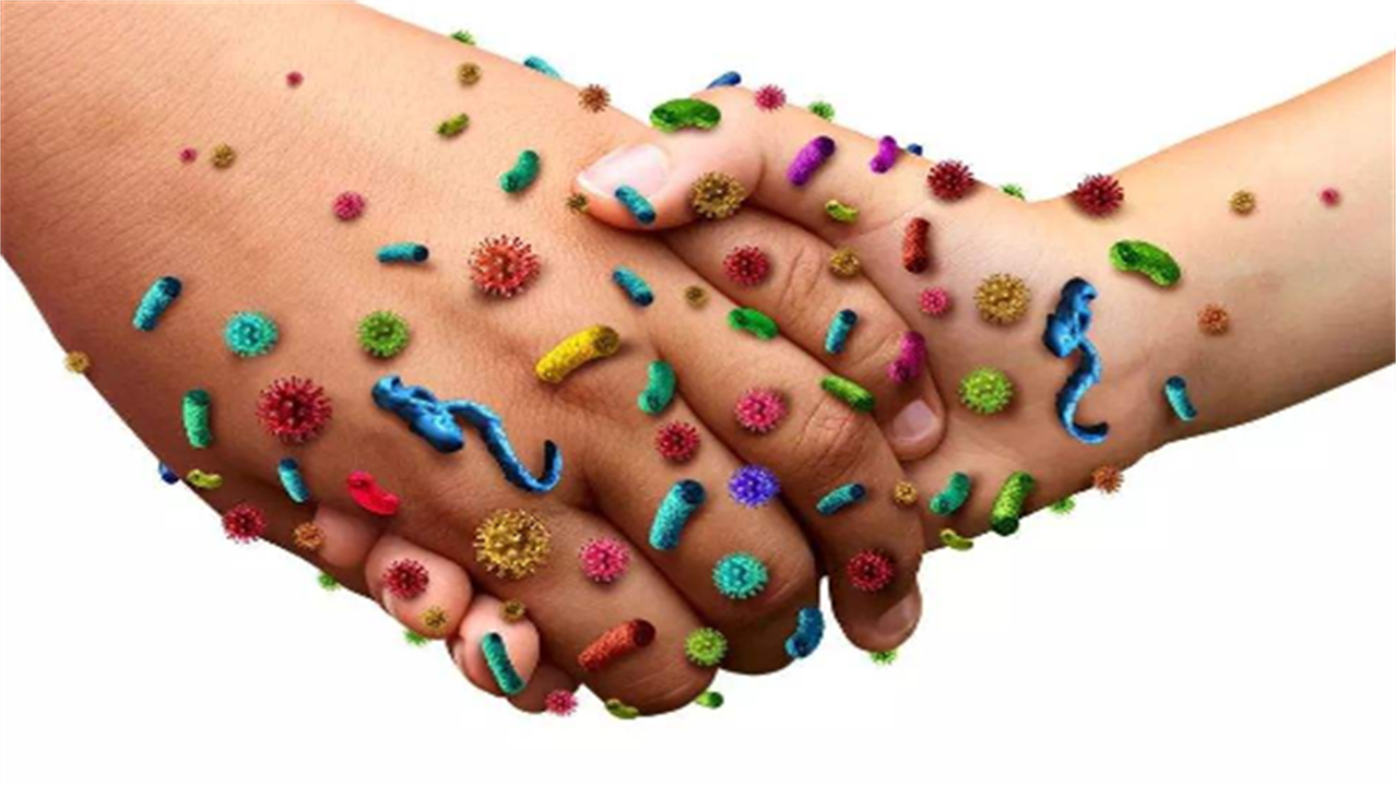 泌尿系统的彩超检查是什么,腹部彩超及泌尿系统彩超注意事项