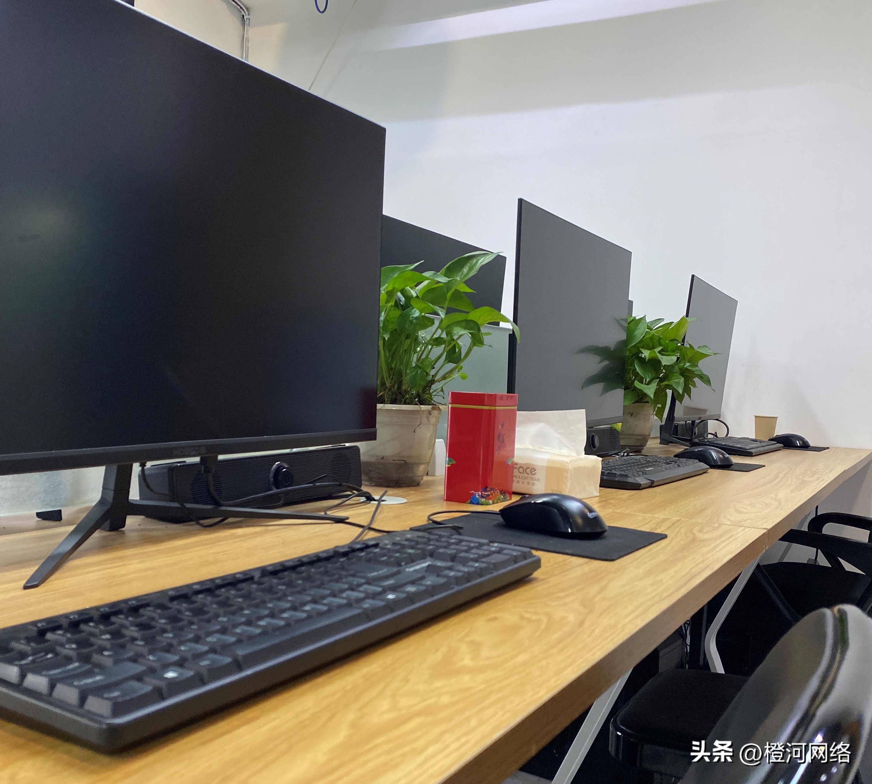 国外问卷调查怎么做,国外问卷调查怎么入门