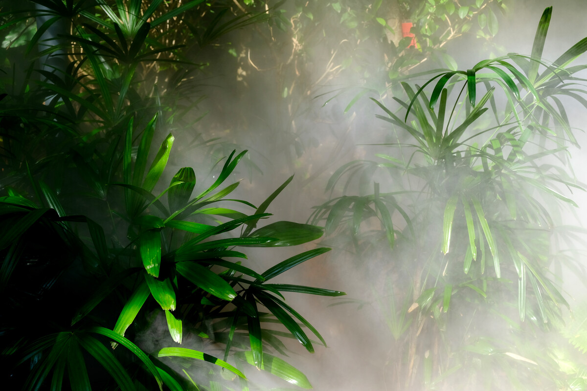 福建风景厦门,厦门风景福州风景