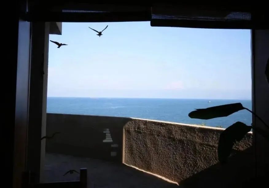 榛勫矏缇庨娴烽矞,绂忓缓杩炴睙榛勫矏娴烽矞缇庨