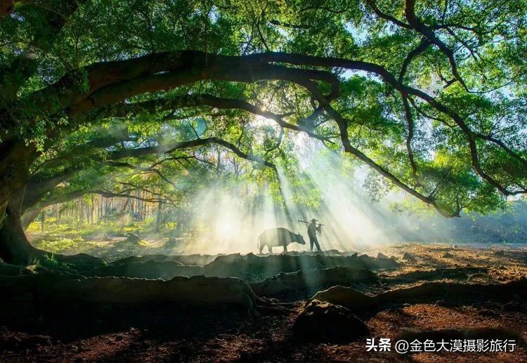霞浦摄影风光,霞浦滩涂水墨摄影
