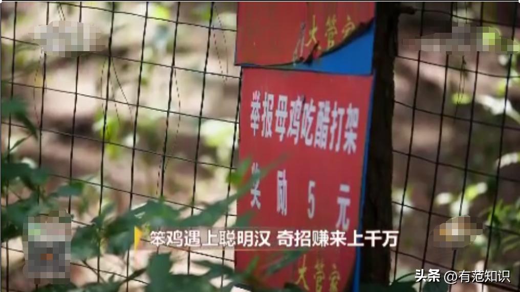 中科院博士裸辞,中科院博士谈裸辞开民宿