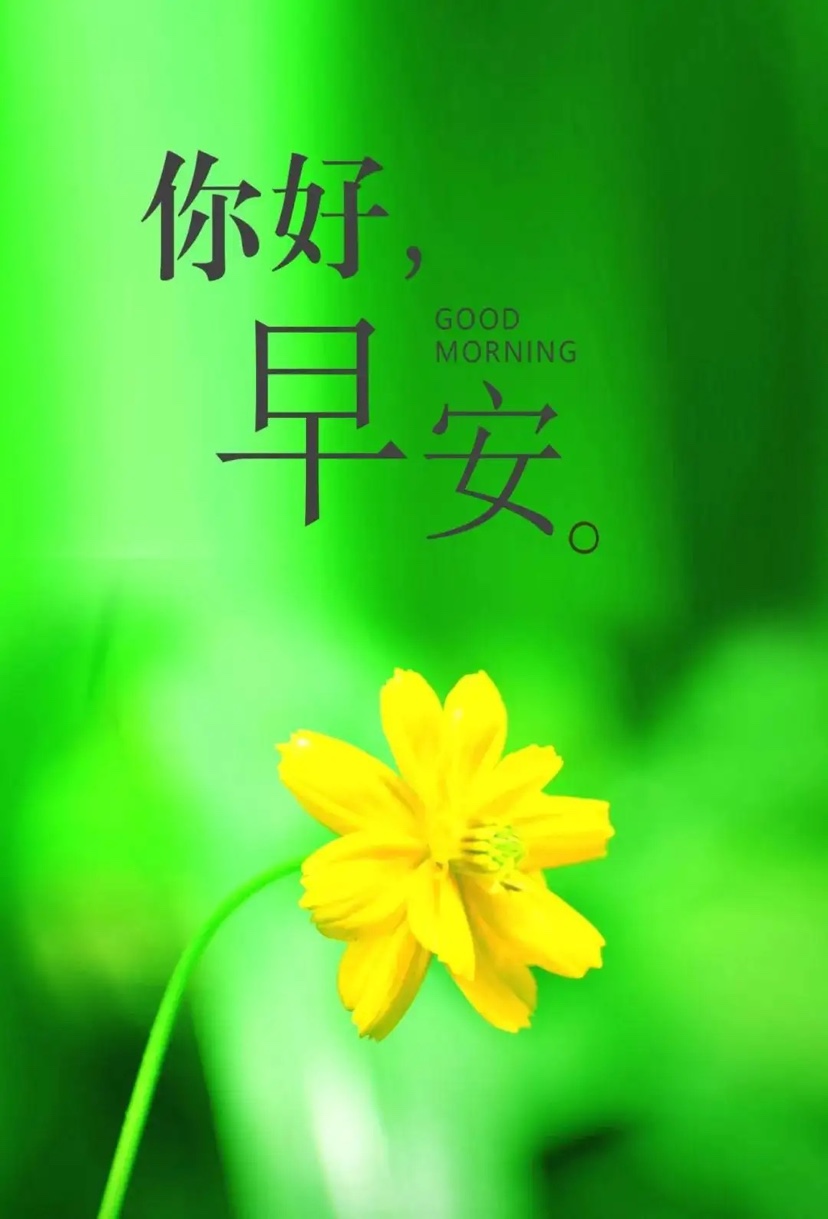 早安心语生活最难走的路,早安心语感悟生活美好