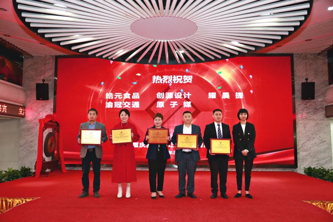 閲嶅簡otc涓婂競鍏徃鍚嶅崟,娓濆寳鍖簅tc鎸傜墝鍏ず