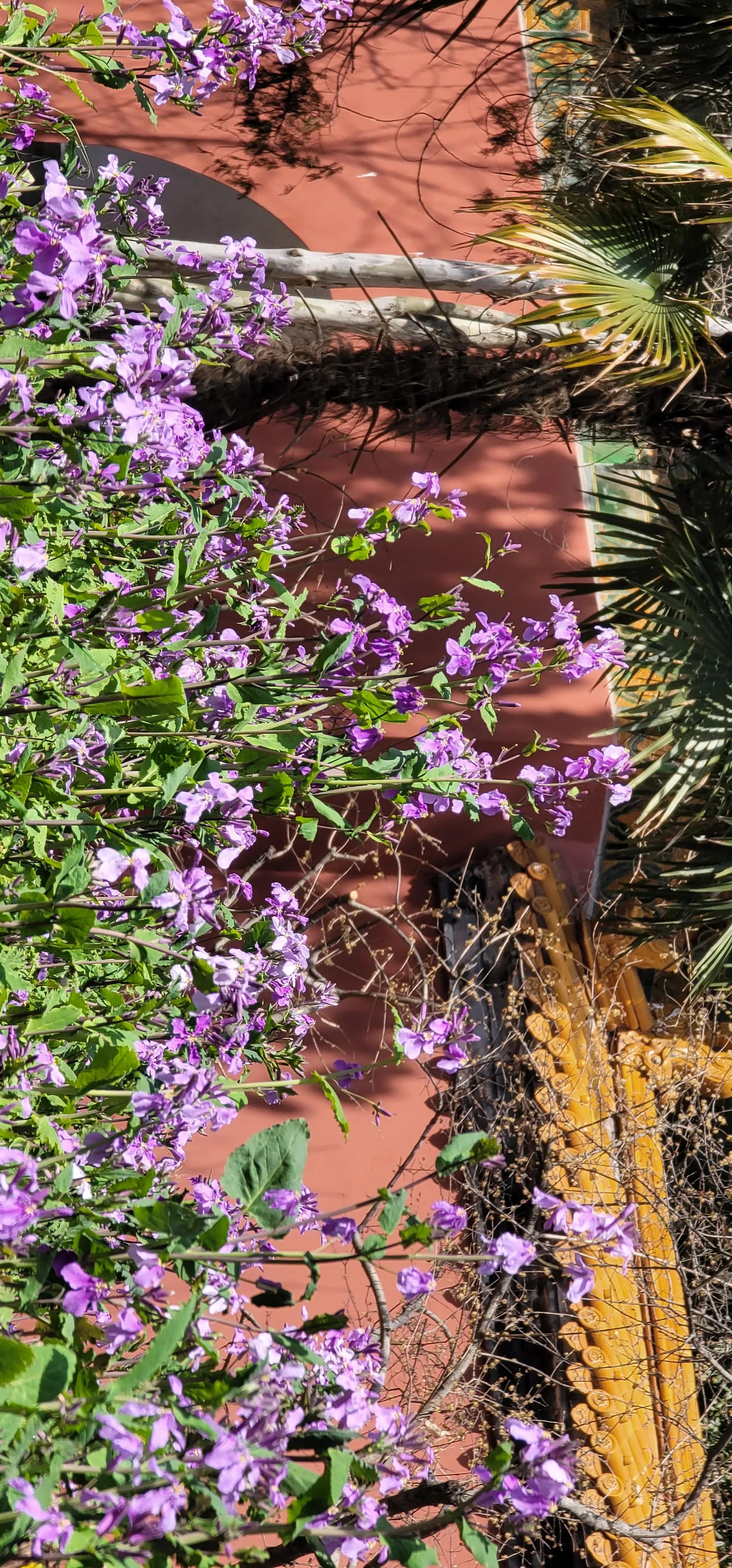 开着沪牌回老家怎么样,开着大巴玩转江浙沪