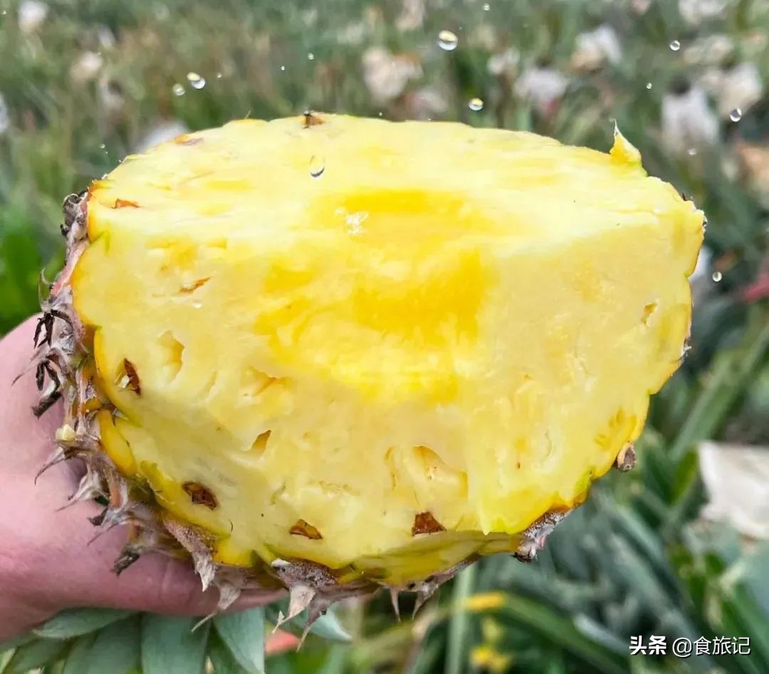 甜脆金钻凤梨,纯甜金钻凤梨菠萝