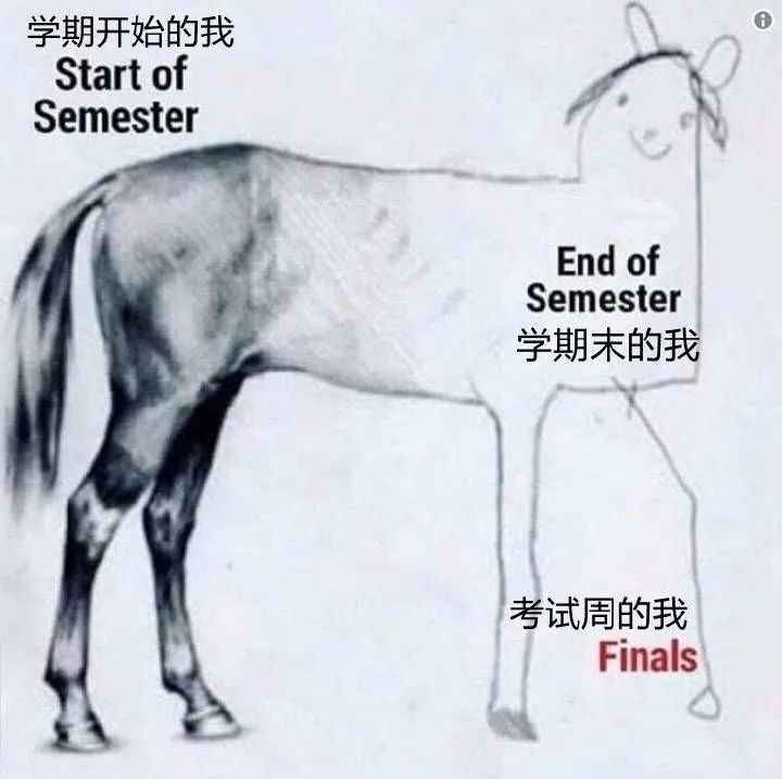 高中生表情包：学习使我妈快乐