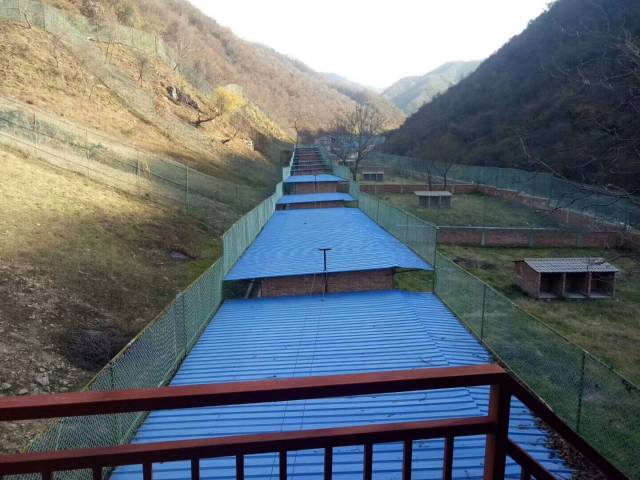 以点带面促营销,以点带面是什么效应