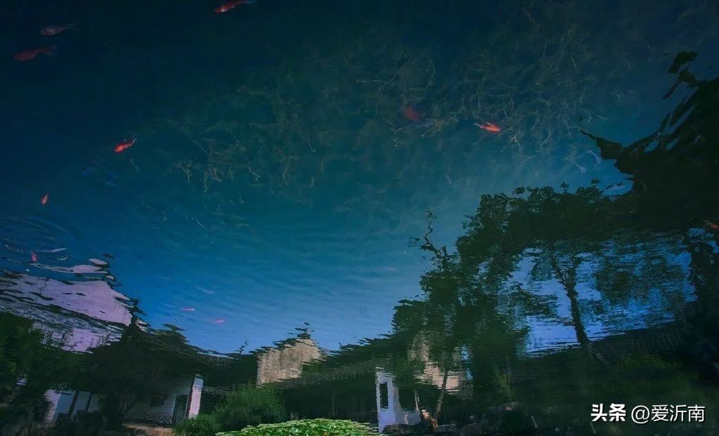 100句绝美春日诗词温柔又浪漫,微雨过小荷翻榴花开欲然