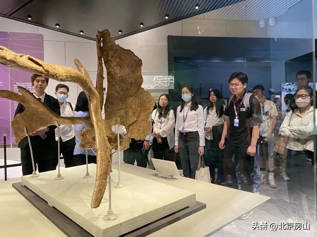 青创北京挑战杯优秀作品,青创北京挑战杯