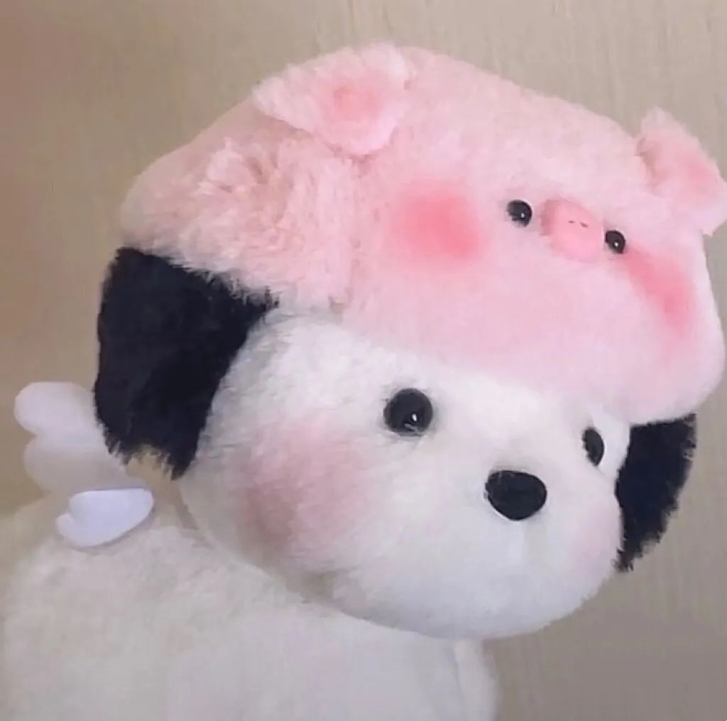 可可爱爱的宠物头像,可可爱爱小熊头像