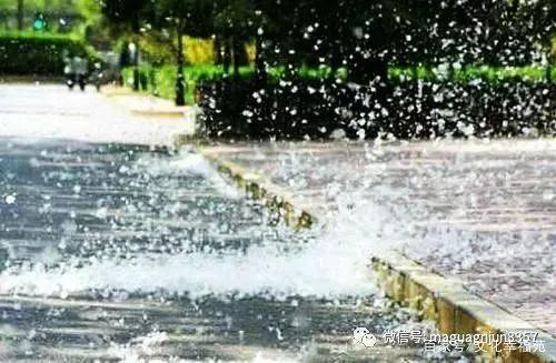 柳絮纷飞的古诗词,关于柳絮飞舞的古诗句