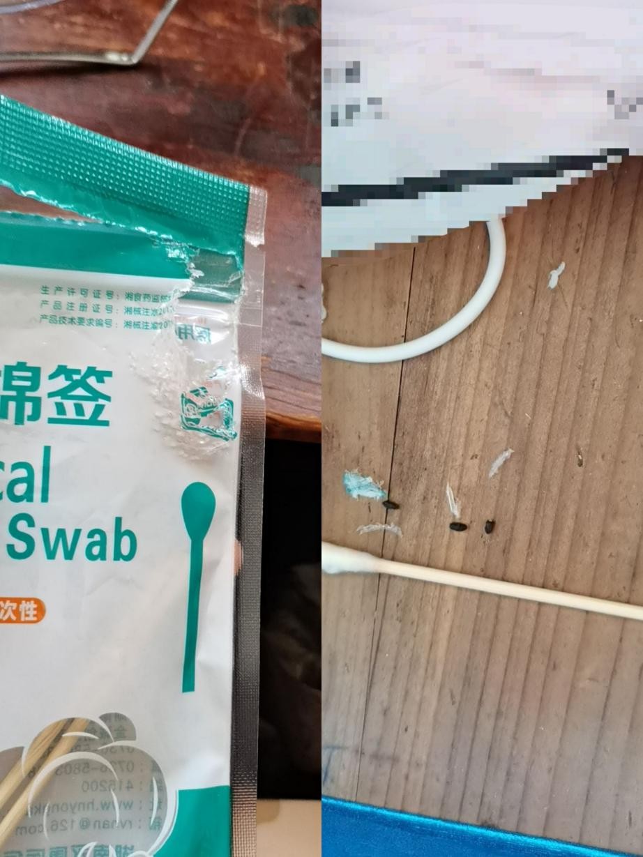 我们家进了一只老鼠，历时近2月，终于把它抓住啦