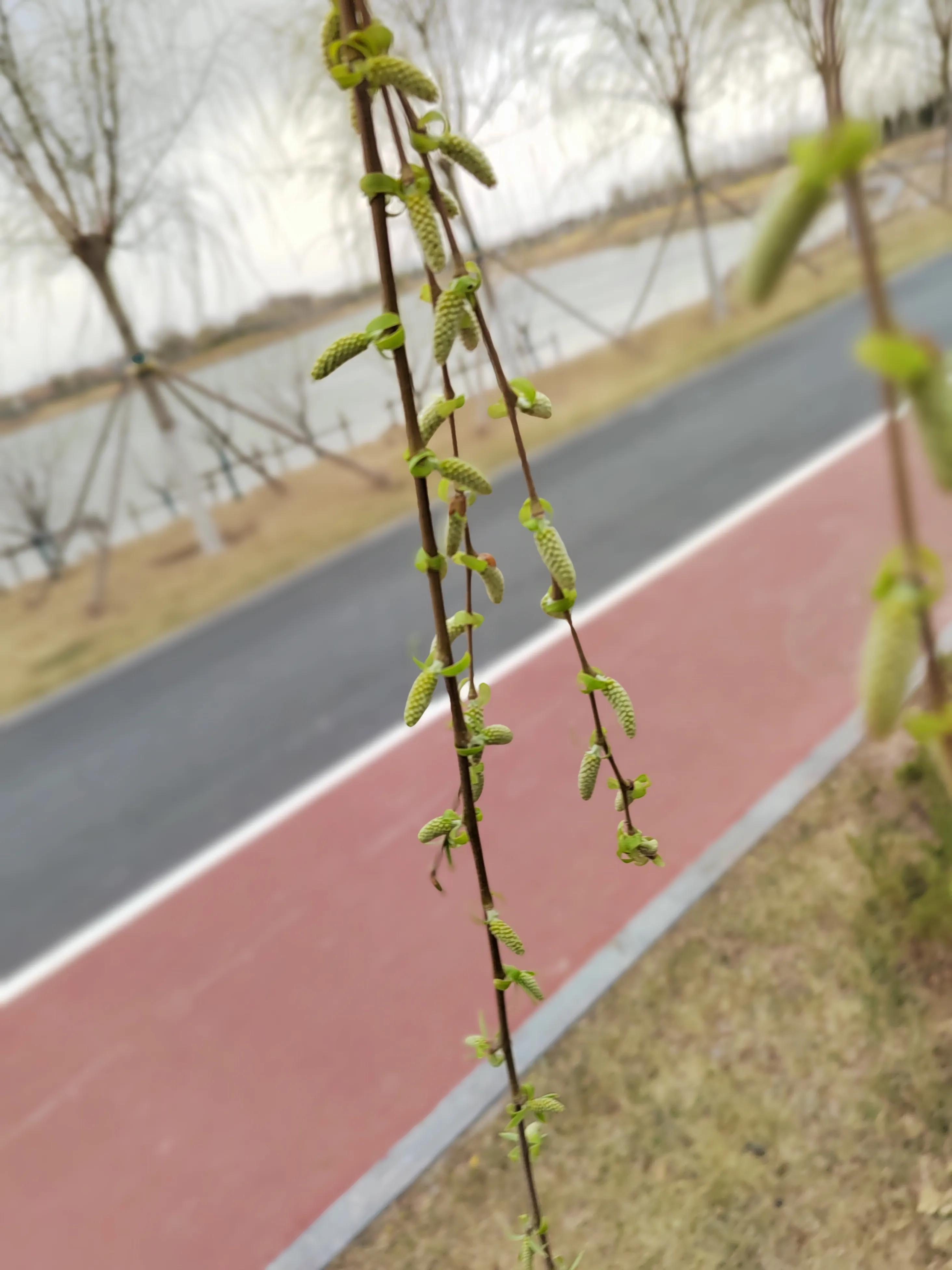 游东湖公园400字,游北山公园感悟