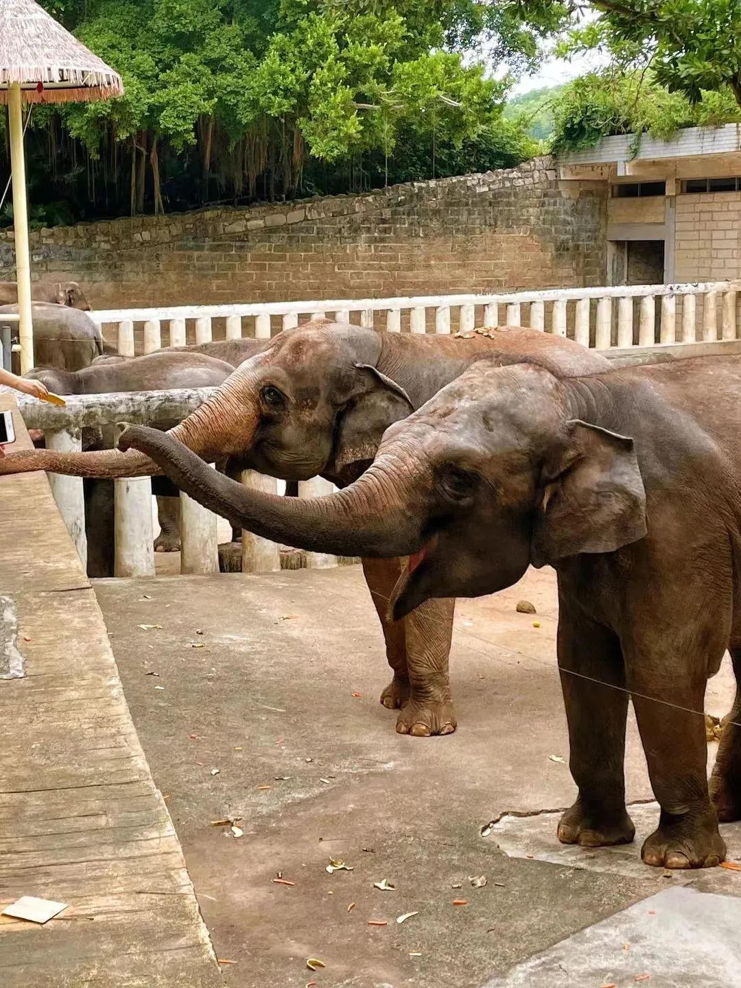 深圳地铁16号线游玩攻略路线,深圳地铁五号线沿线游玩地方