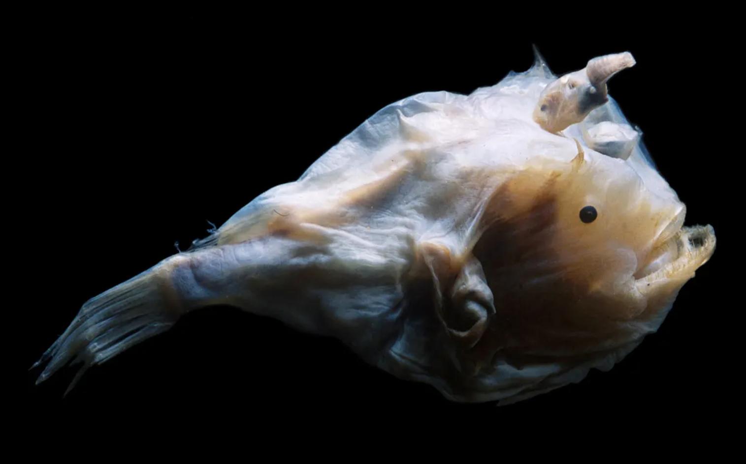 为什么男人高女人低,为什么男高女矮才配