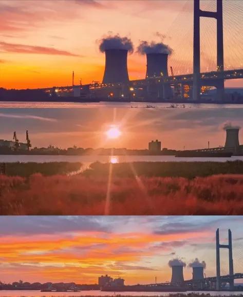 上海免费适合遛娃的公园,上海亲子公园游玩地点推荐