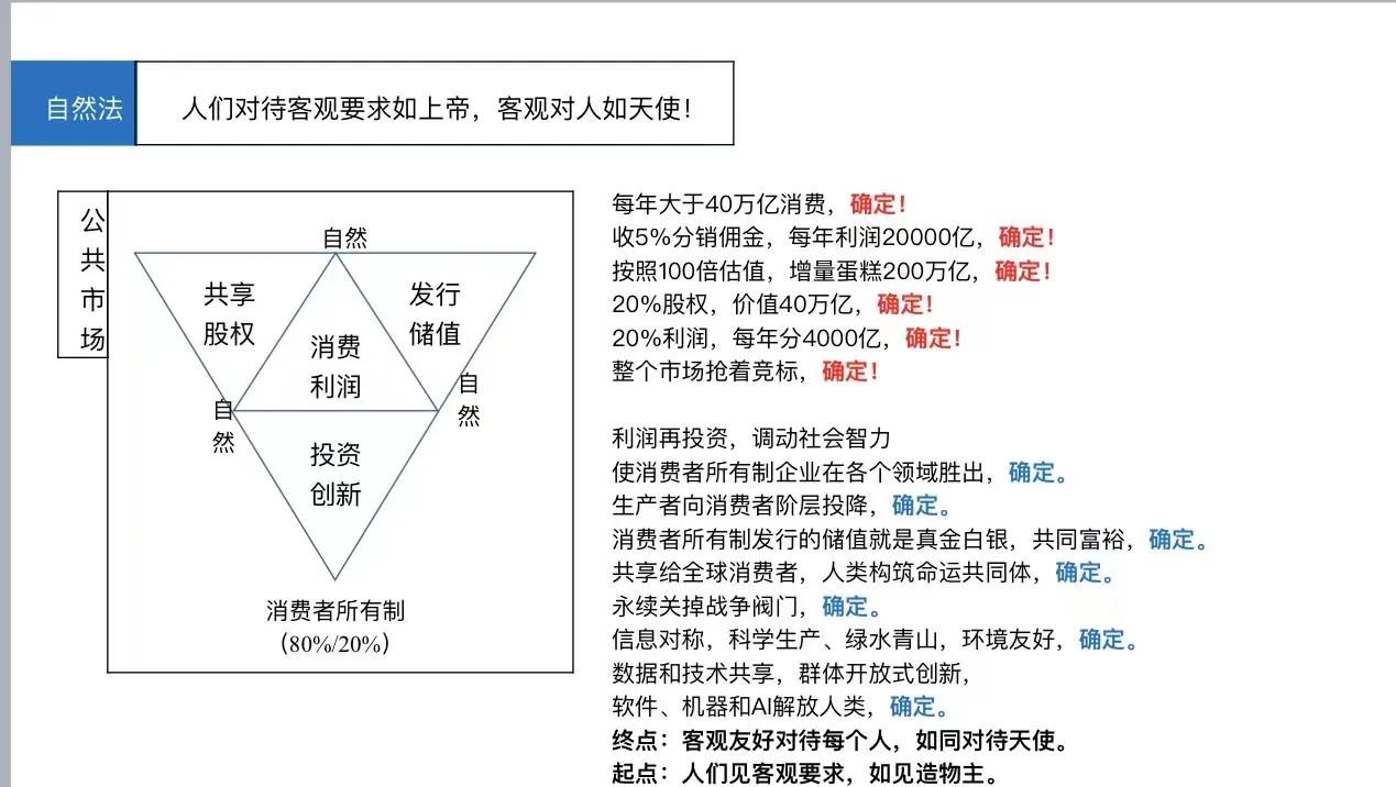 股市起源,西方早期融资结构理论
