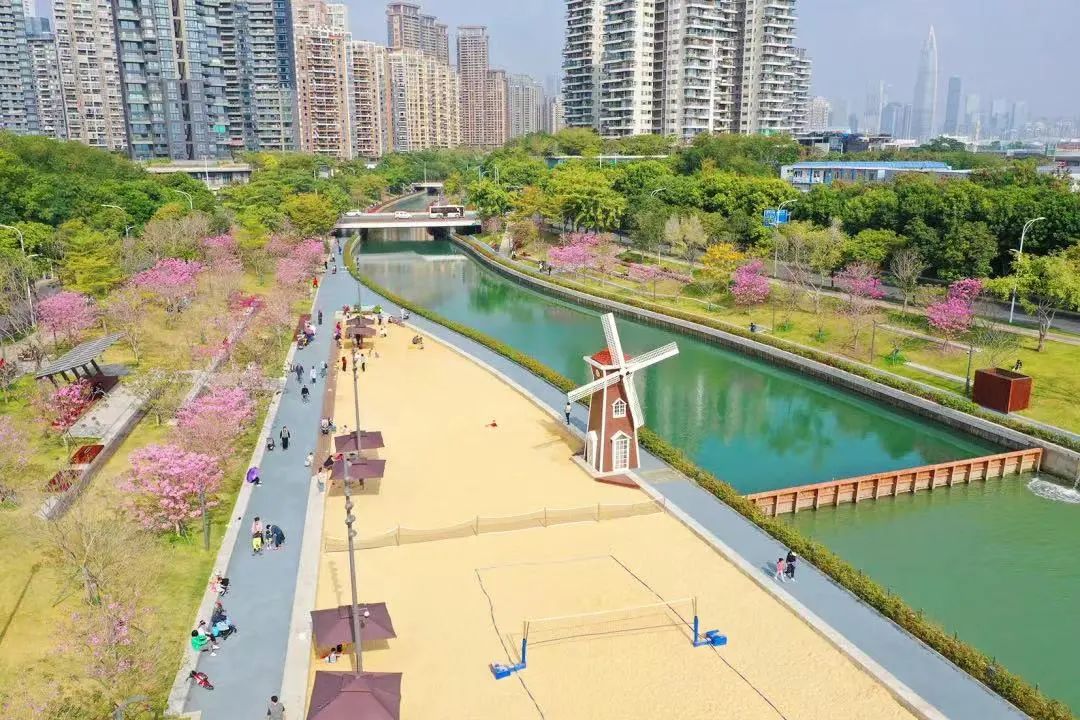 深圳南山区扬帆,深圳南山扬帆