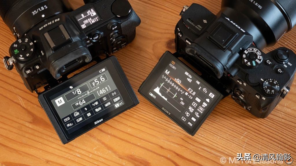 拍鸟用尼康d6好还是z7ii好,拍鸟买r6还是r5