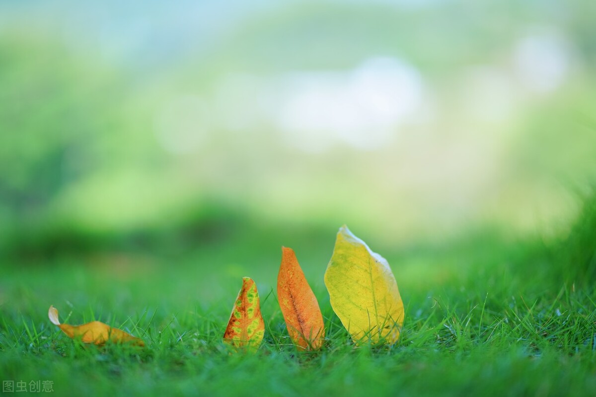 七十多岁牙一个都没掉,八十多岁不掉牙