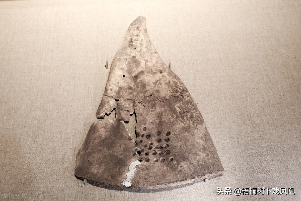 2022年壬寅虎年化太岁锦囊,明年是壬寅虎年好不好