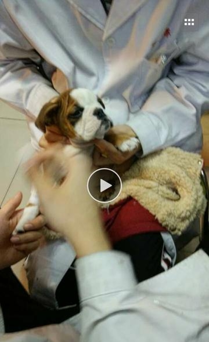 2023年12月11日2点11分,2023年12月11日11点43分