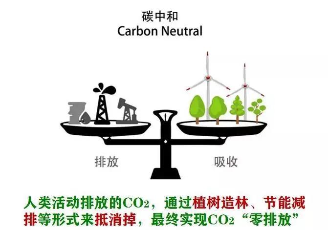 如何迈向“碳中和”？达能、宝洁、蒙牛等20+品牌，带来5大发力点