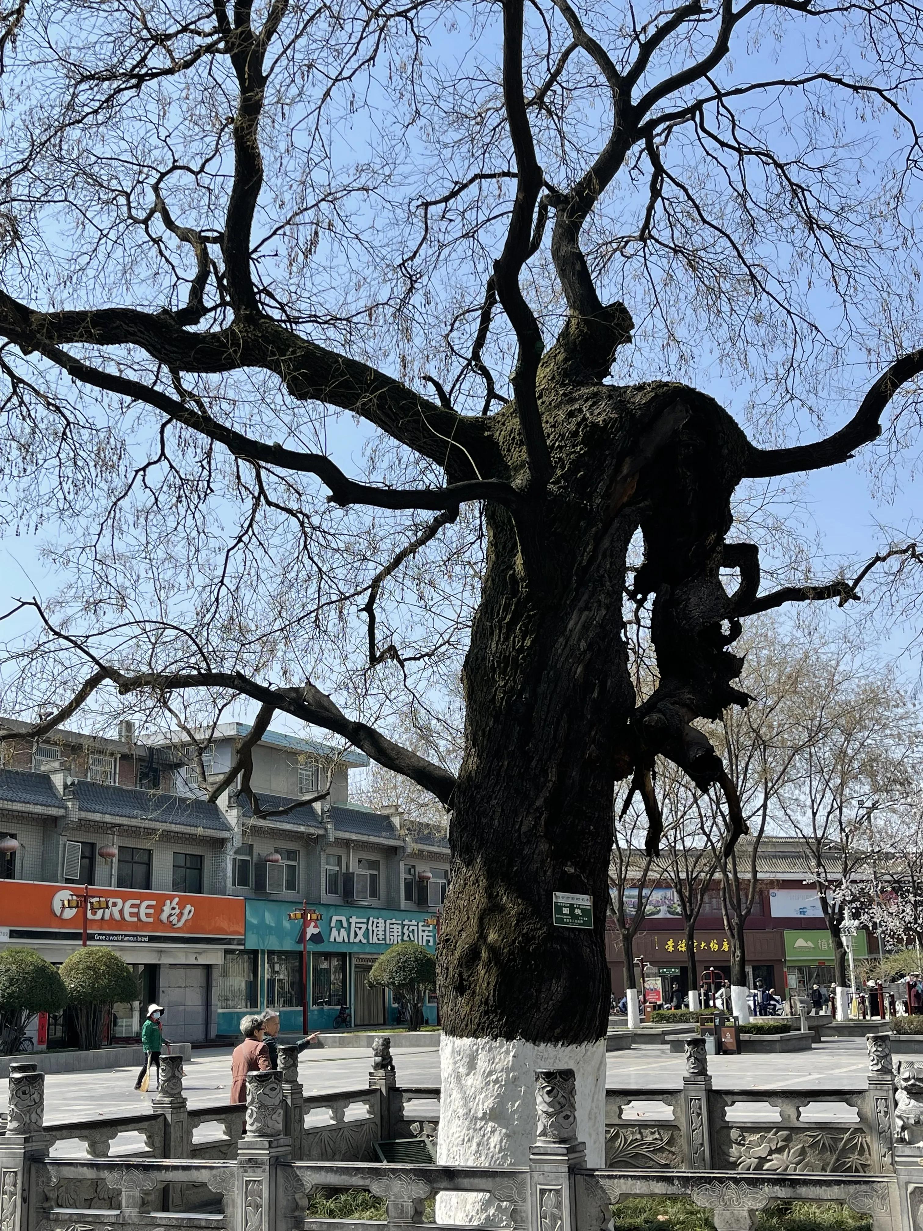 走进户县,欢迎回到西安户县