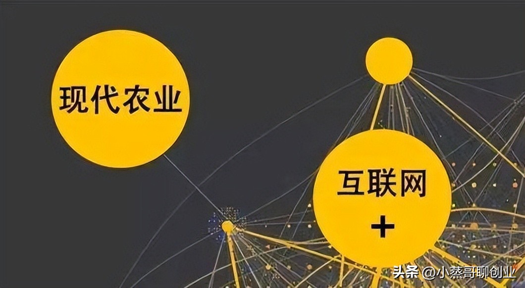 开粮油店有什么挣钱的高招,粮油店开业怎么才能盈利