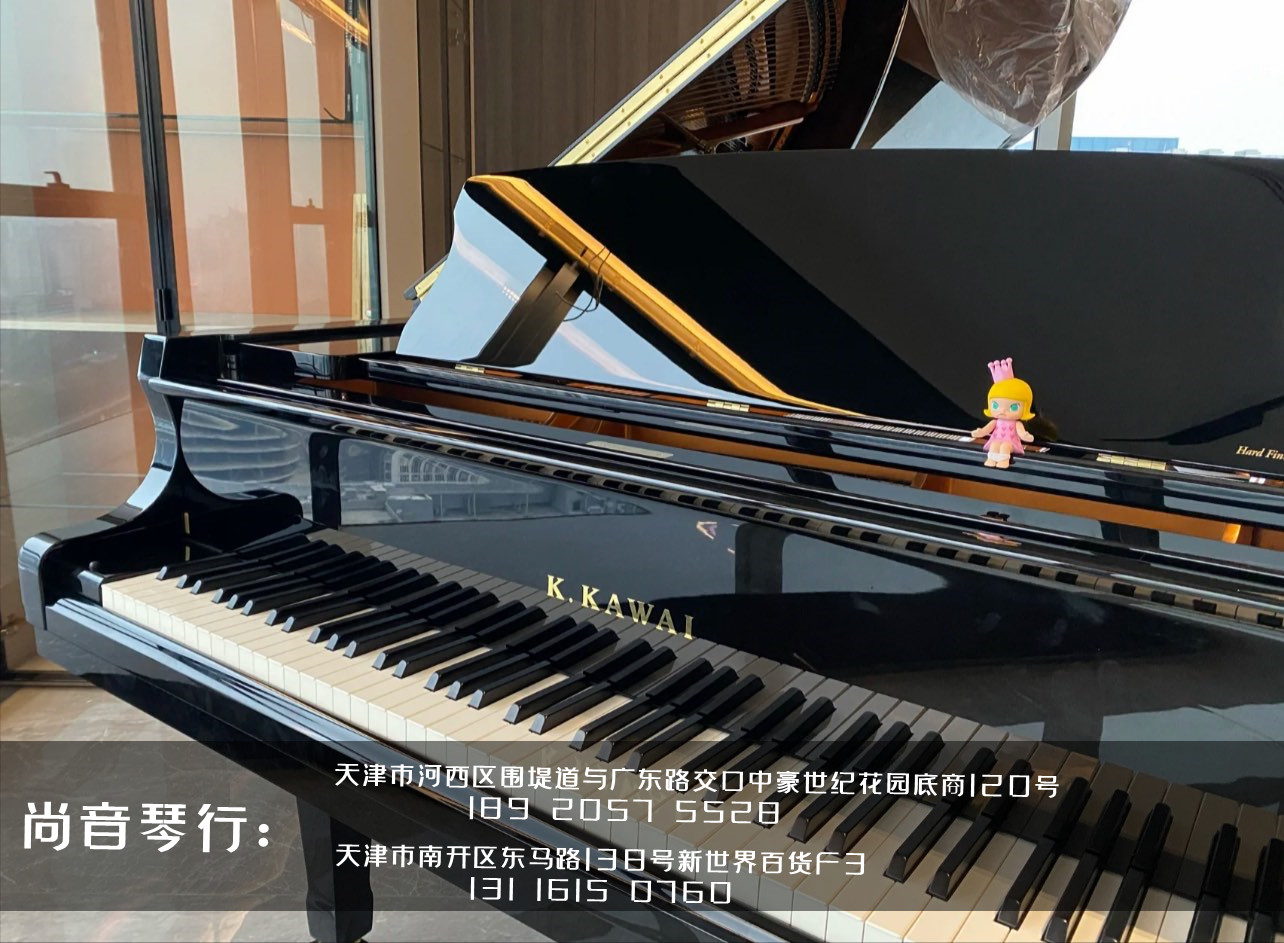 天津大港区钢琴品牌店在哪,天津钢琴城天津尚音琴行