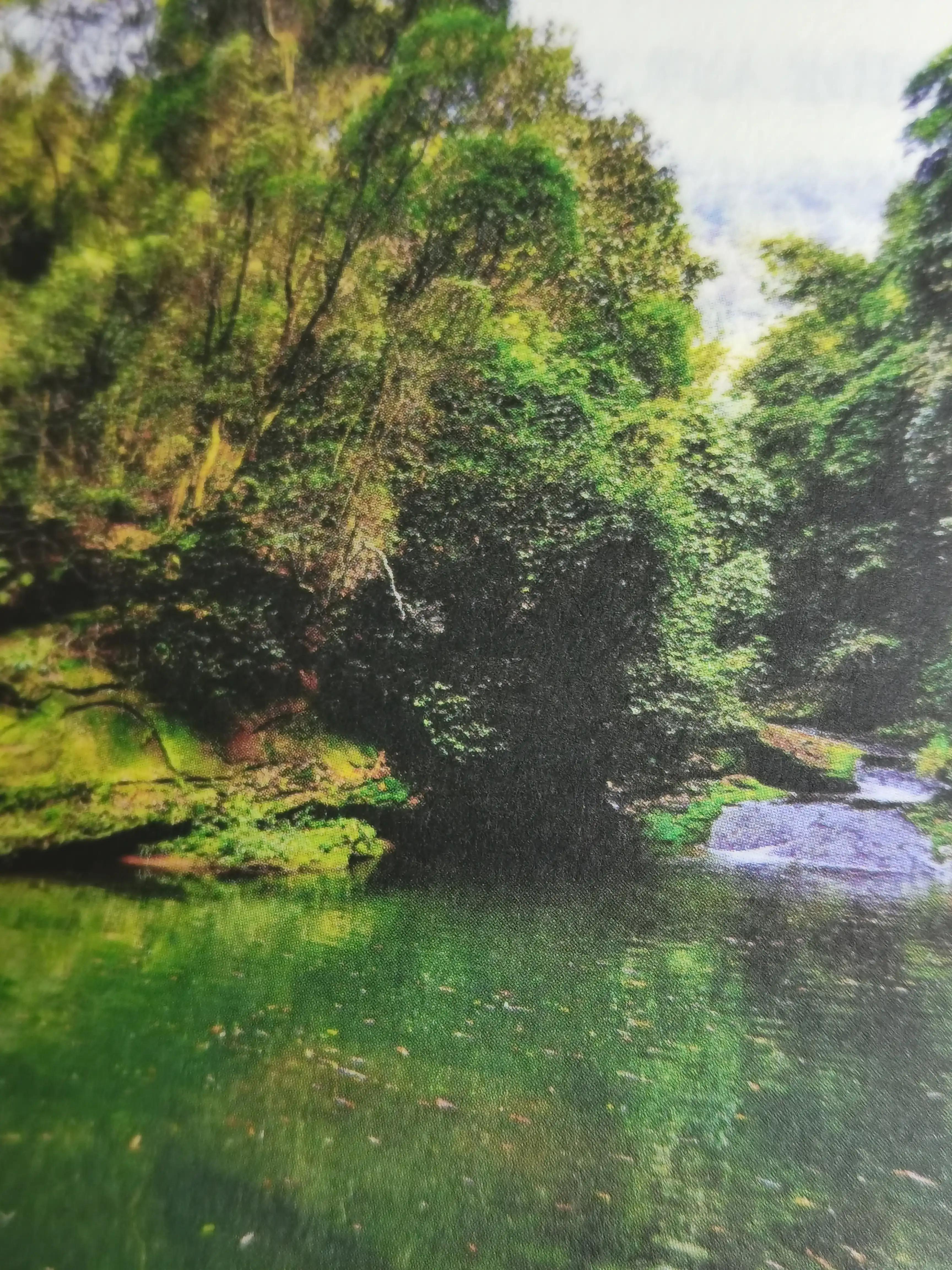 綦江九龙潭峡谷,重庆綦江有哪些野生动物