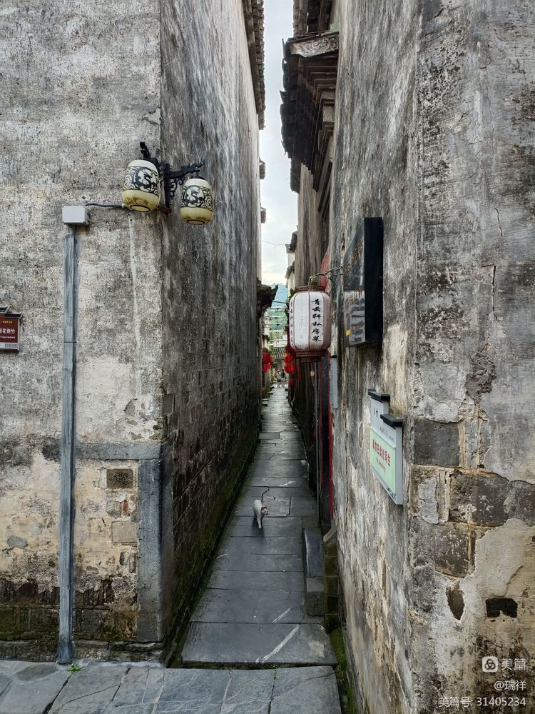 西递村的历史文化,西递村历史文化