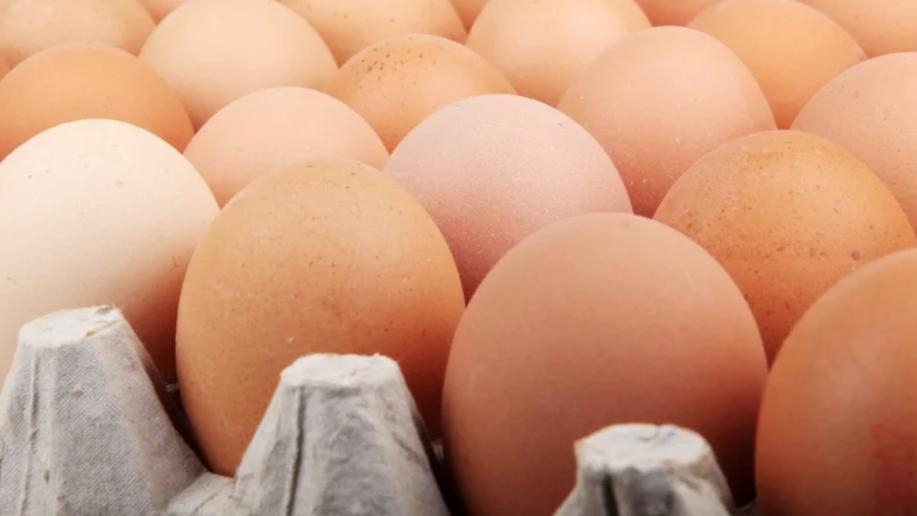 日本鸡蛋都很贵吗,日本鸡蛋很贵吗
