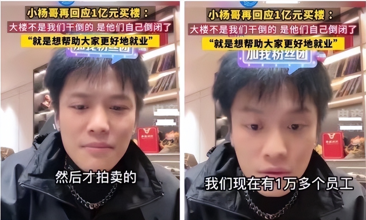 小杨哥被打假的破壁机,小杨哥小型破壁机热卖榜第一名