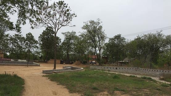 陕州区地坑院营造技艺,天井窑设计