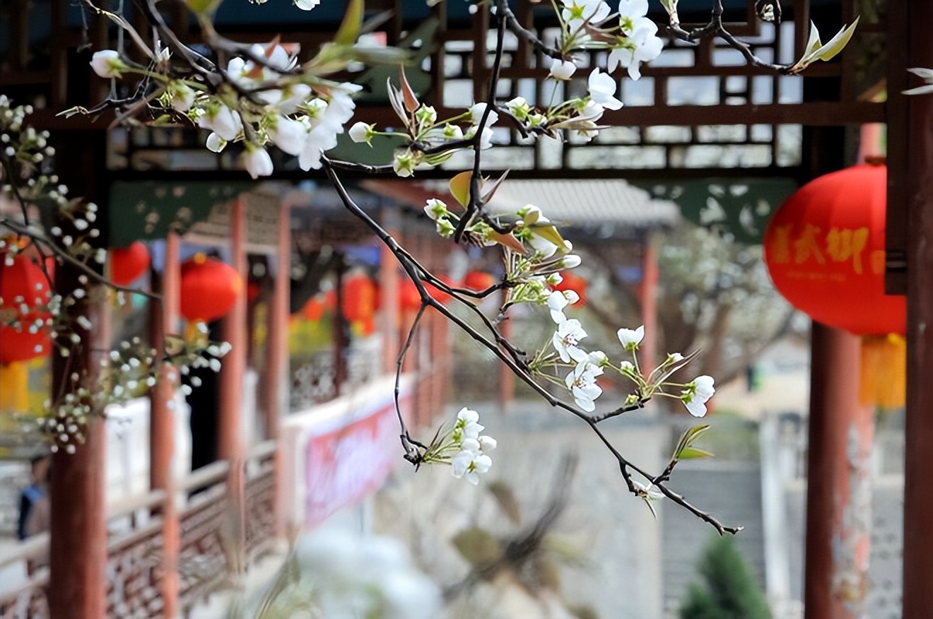 4月暖和自驾游适合去的地方,这个季节适合去哪旅游自驾