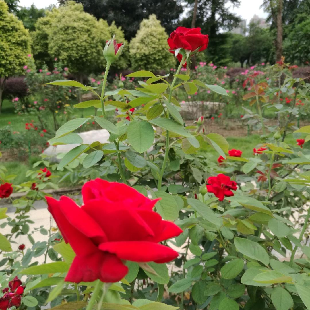 南宁4号线地铁攻略,南宁2号线地铁游玩攻略