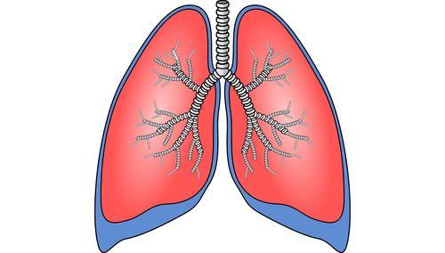 医学上如何计算年龄,身体年龄如何计算