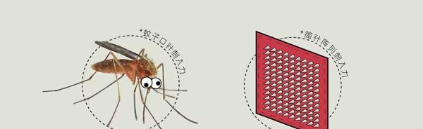 专家研究三十年蚊子,是谁发现蚊子发明了无痛针管