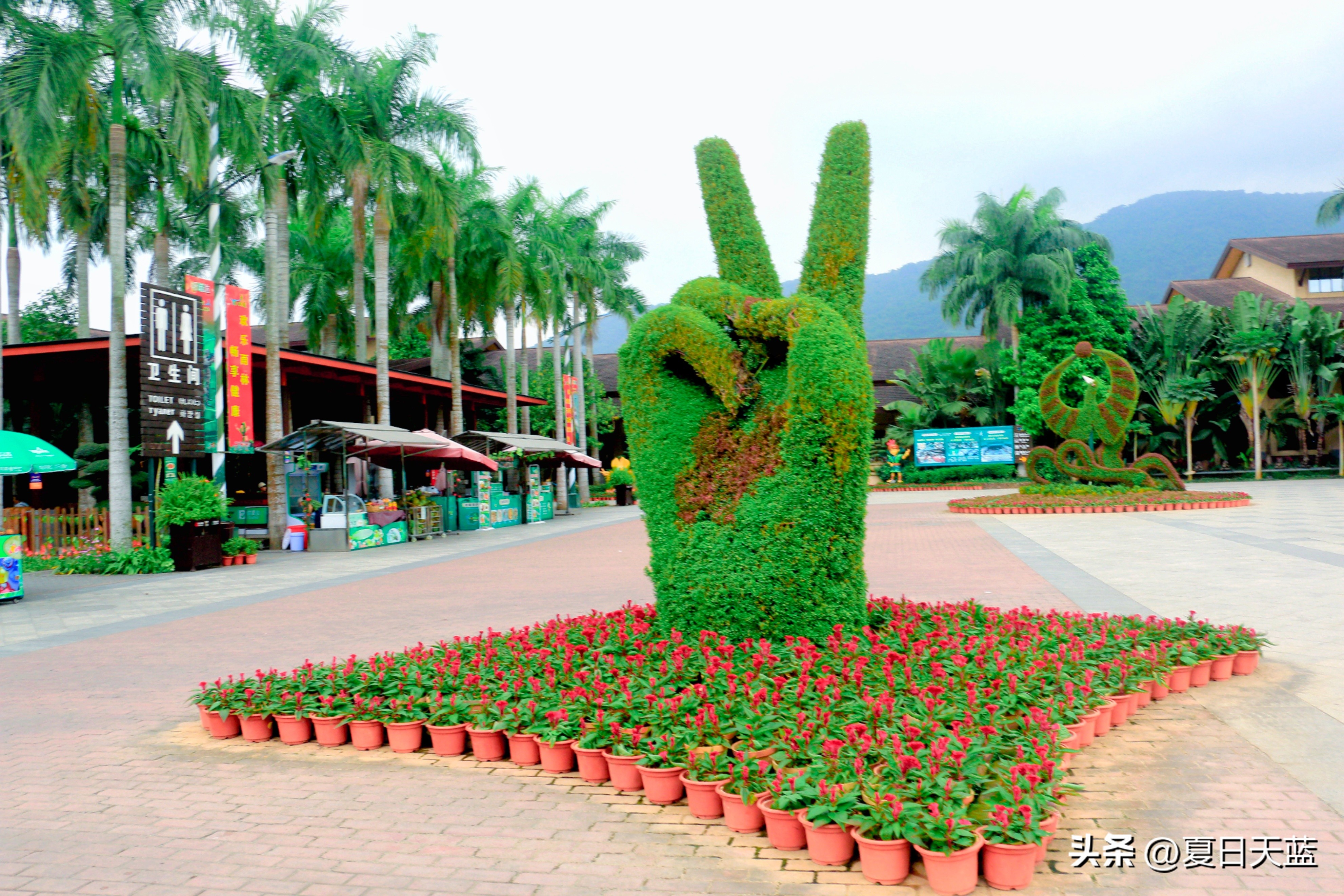 三亚度假最佳选择,三亚度假正确打开方式