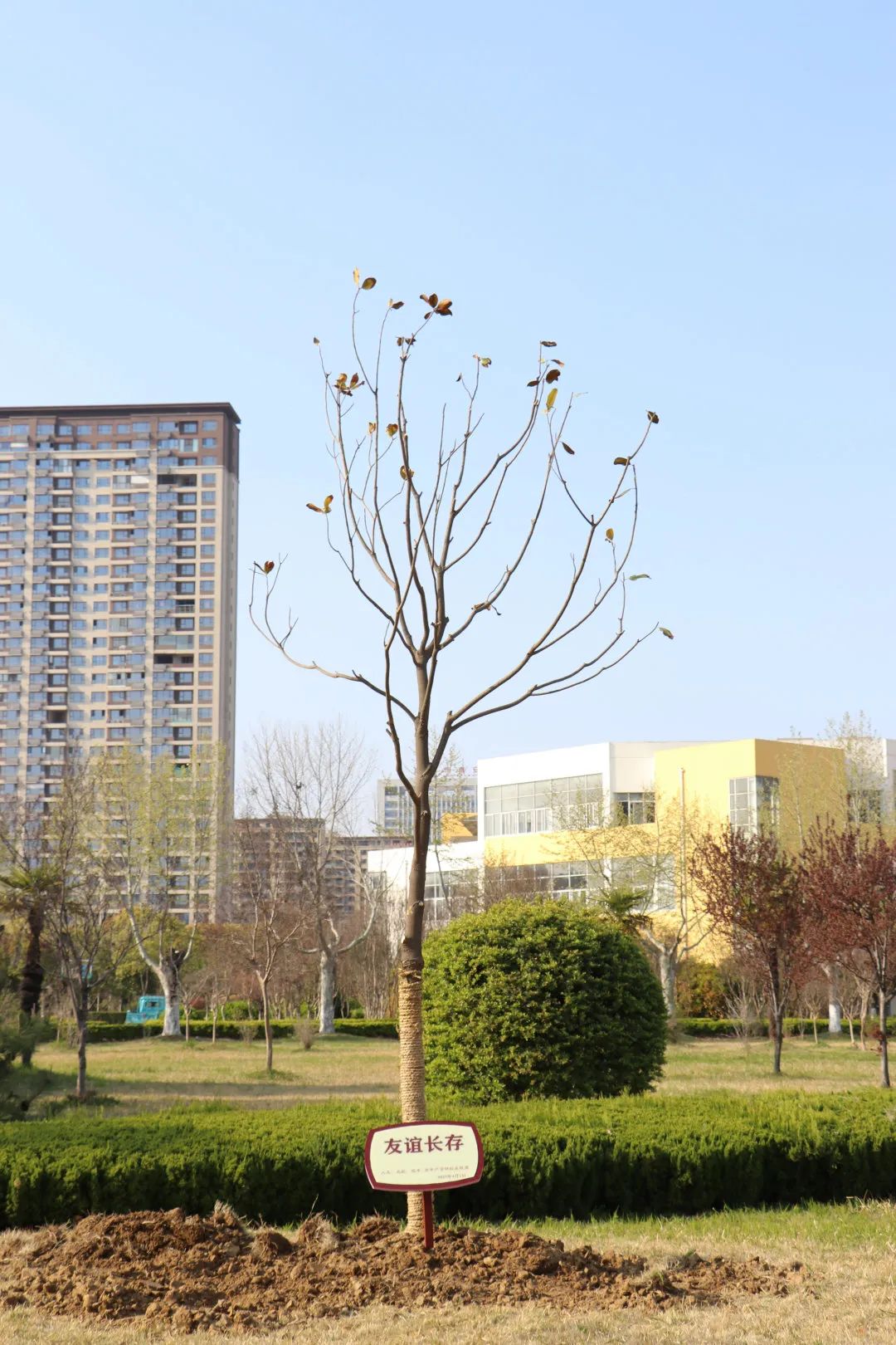 人大、北航、瑞中、淮中产学研校友联盟领导和专家来淮中考察交流