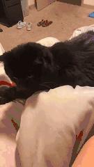 隔壁的单亲妈妈来我家借跑步机,但是为什么她还穿高跟鞋?: