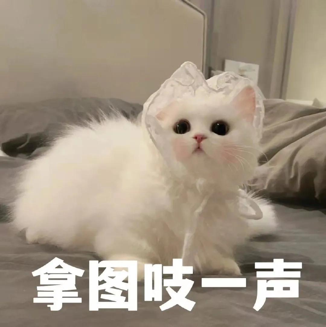 表情包爱心发射怎么接,握拳爱心发射手势表情包