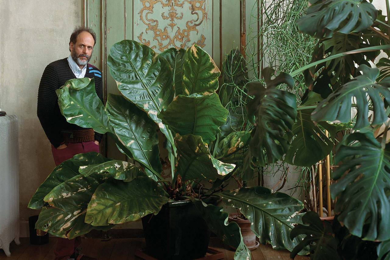 假期的必备好物,假日好物分享