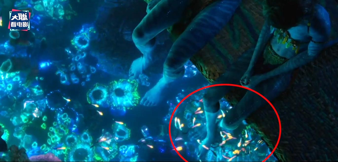 阿凡达二里面的老二,阿凡达2全过程讲解