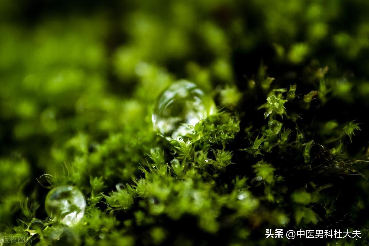 湿热下注引发前列腺炎怎么办,湿热下注引起前列腺炎如何根治